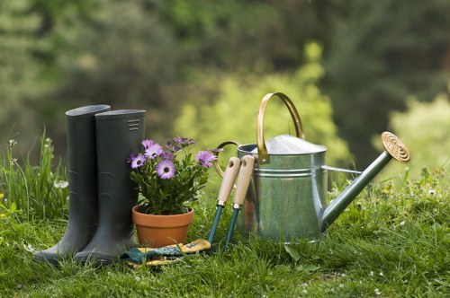 Tree surgery equipment and canopy maintenance in a local garden