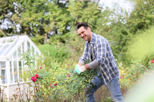 Legal terms and conditions for tree surgery services in the UK
