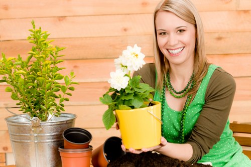 Tree inspection advice for homes and commercial sites in Sydenham
