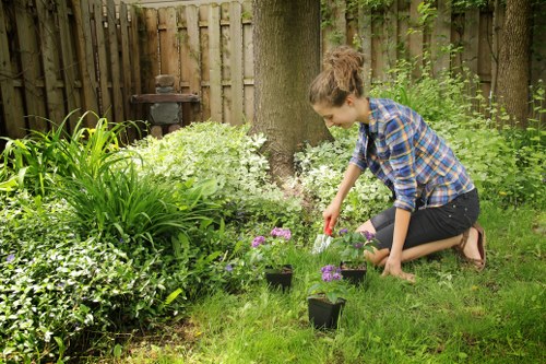 Ongoing commitment to ethical tree surgery services and anti-slavery action