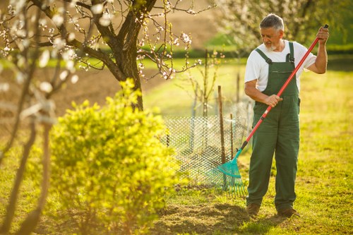 Professional tree care team resolving a service issue